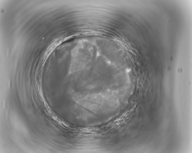 X0000087630241200705181507