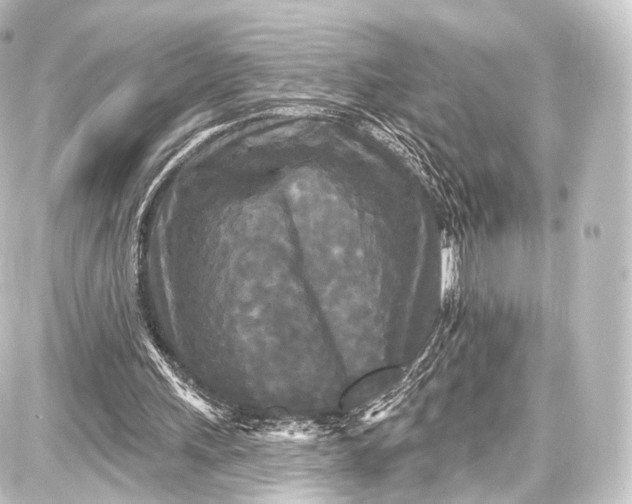 X0000087630243200705181507