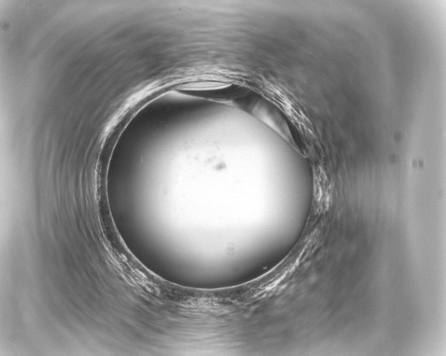 X0000087630244200705181507