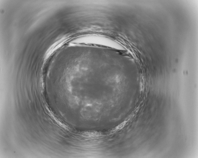 X0000087630245200705181507