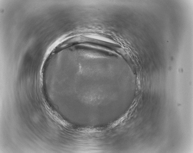 X0000087630246200705181507