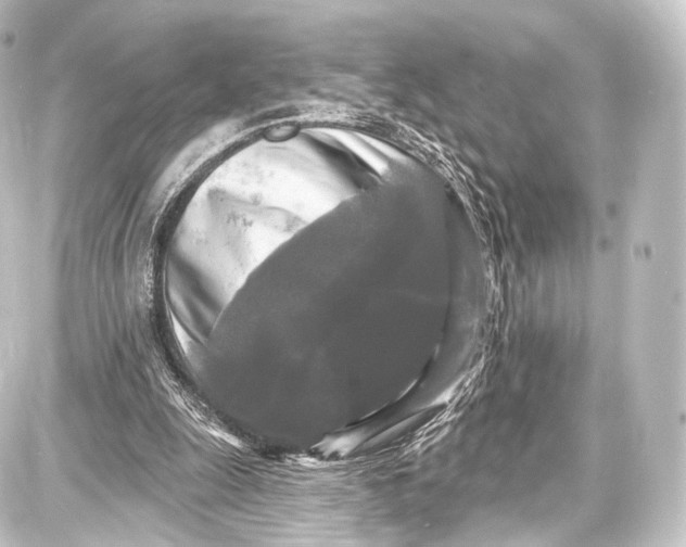 X0000087630247200705181507