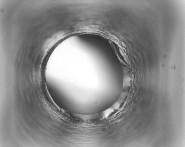 X0000087630248200705181507