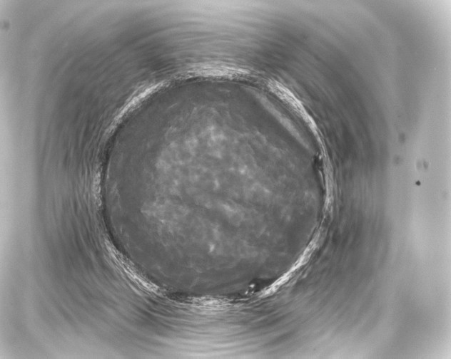 X0000087630249200705181507