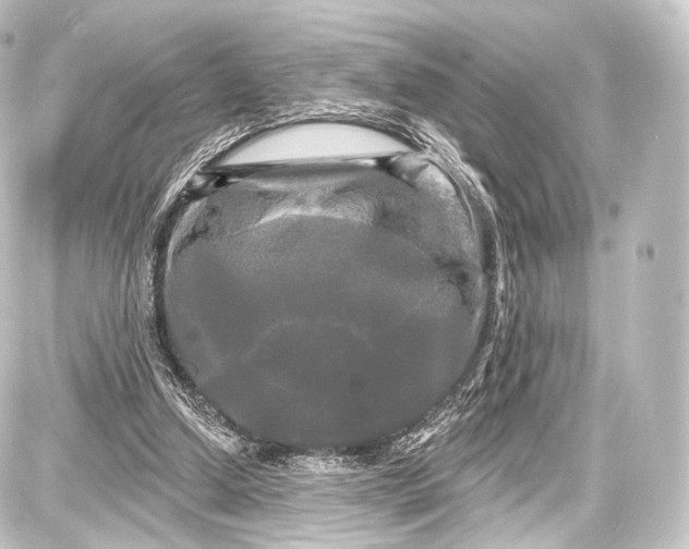 X0000087630250200705181507