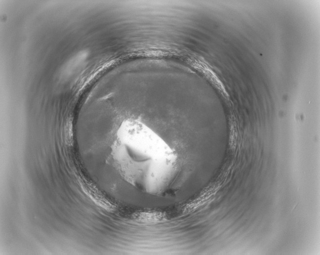 X0000087630251200705181507