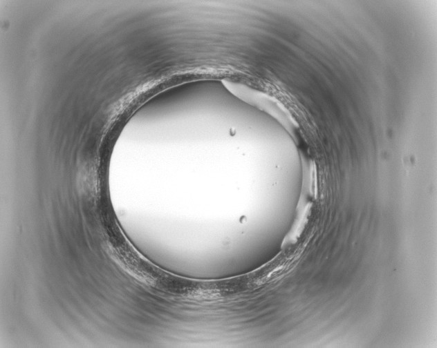 X0000087630252200705181507