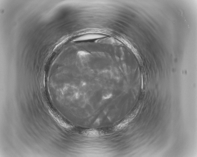 X0000087630253200705181507