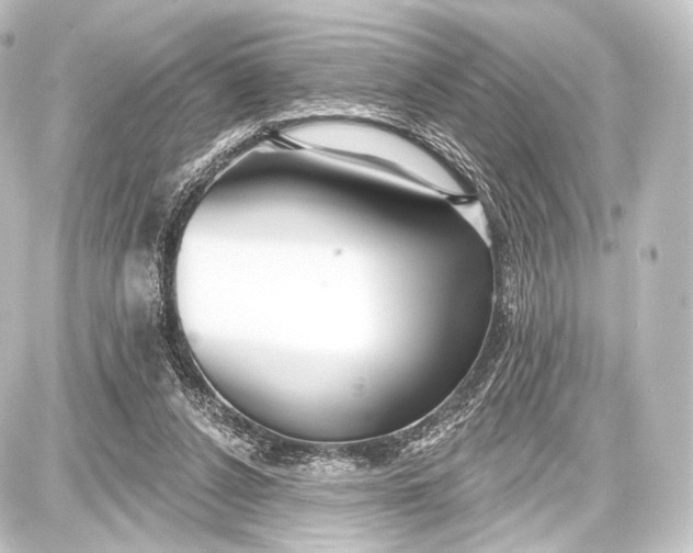 X0000087630256200705181508