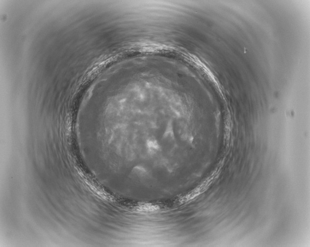 X0000087630257200705181508