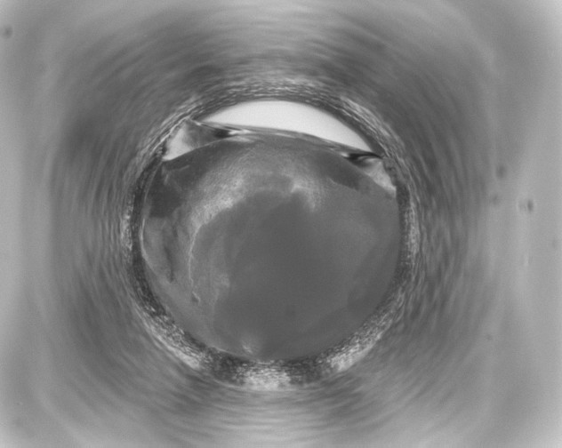 X0000087630258200705181508