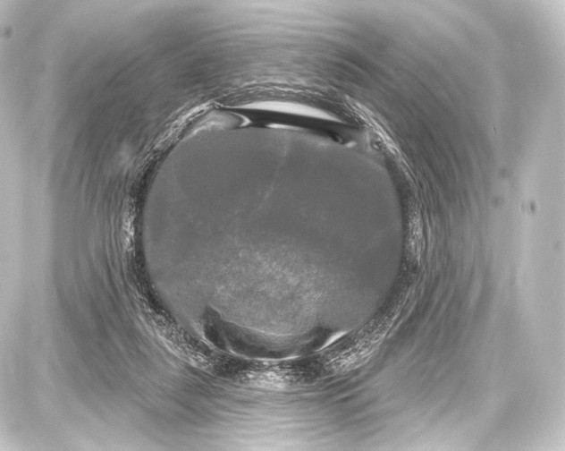 X0000087630259200705181508