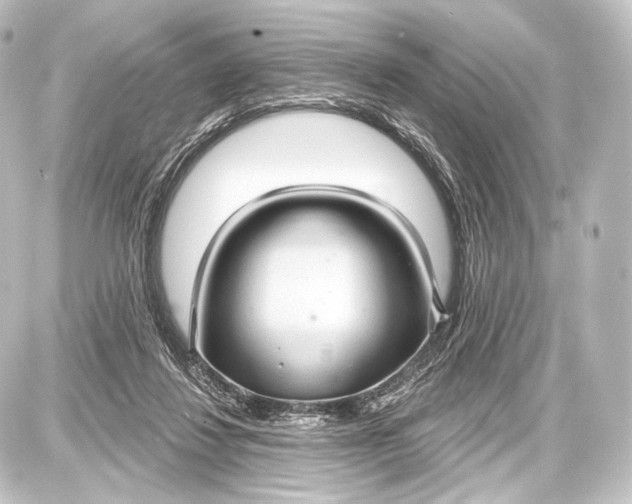 X0000087630260200705181508