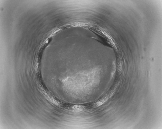 X0000087630261200705181508