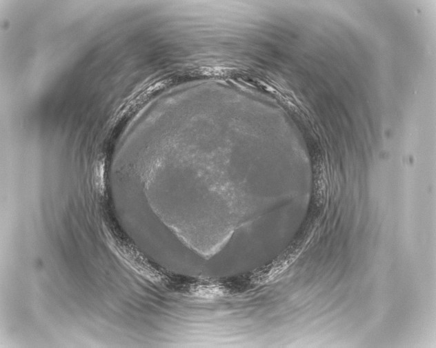 X0000087630262200705181508