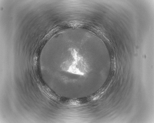 X0000087630263200705181508