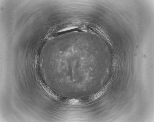 X0000087630265200705181508