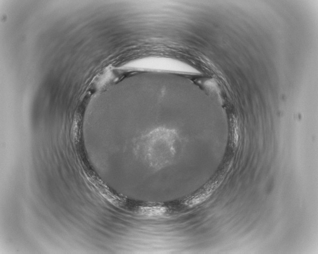 X0000087630266200705181508