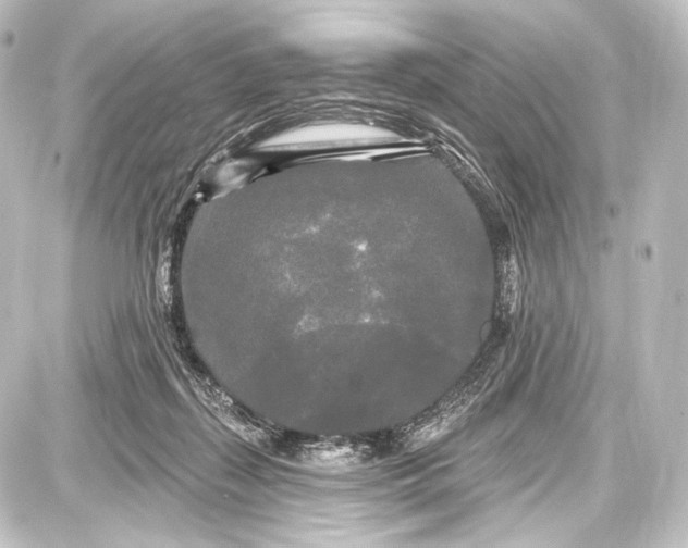 X0000087630267200705181508