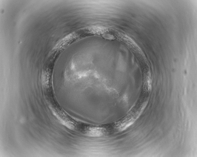 X0000087630268200705181508