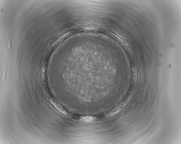 X0000087630269200705181508