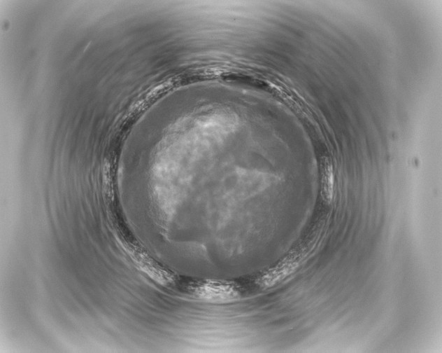 X0000087630270200705181508