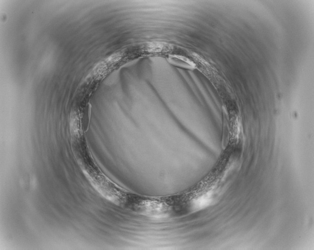 X0000087630272200705181508