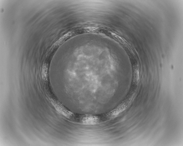 X0000087630274200705181508