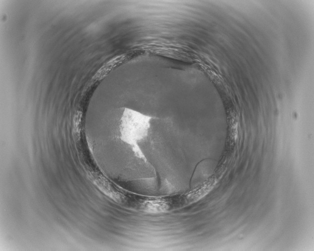 X0000087630275200705181508