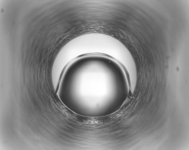 X0000087630276200705181508