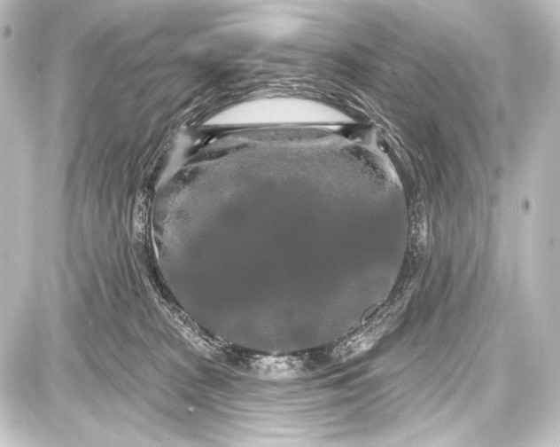 X0000087630277200705181508