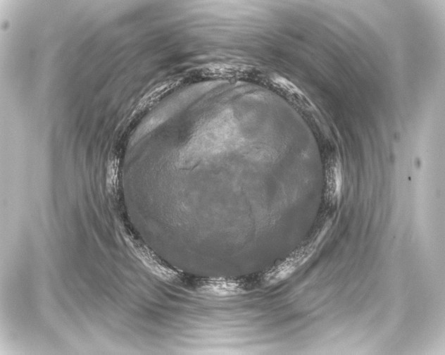 X0000087630278200705181508