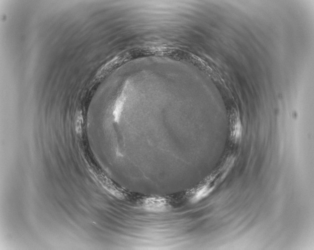 X0000087630279200705181508