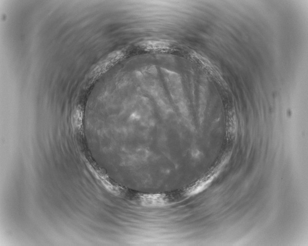 X0000087630281200705181508