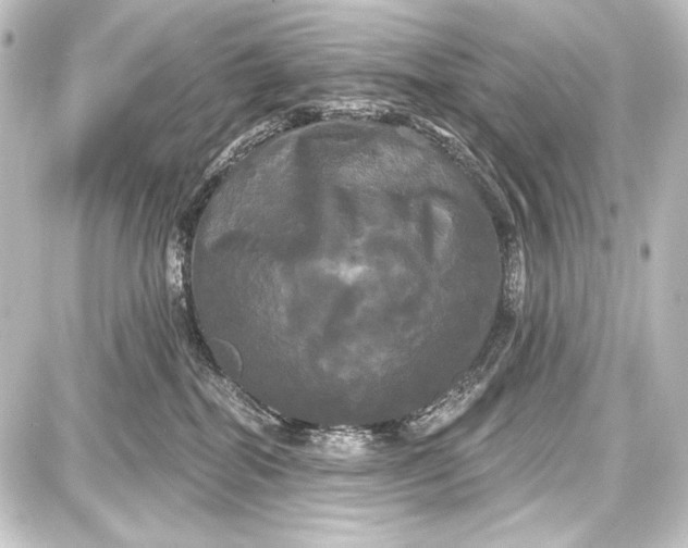 X0000087630282200705181508