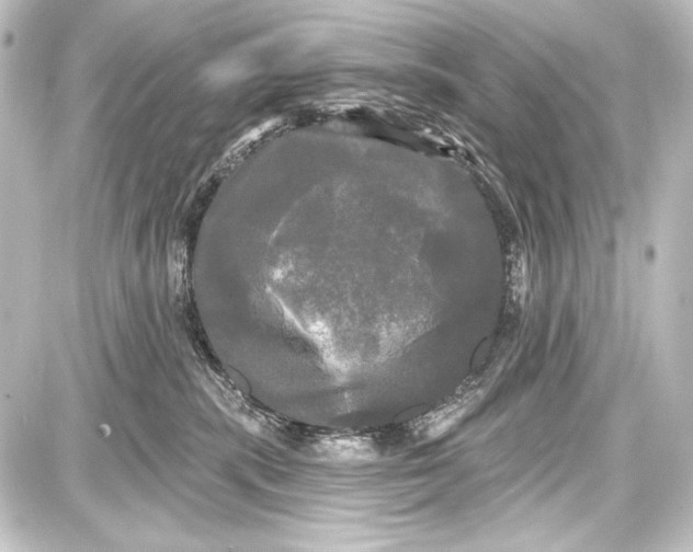 X0000087630283200705181508