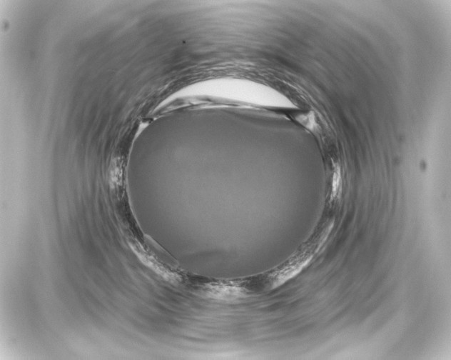 X0000087630284200705181508