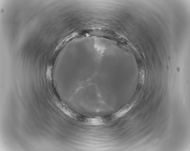 X0000087630286200705181508