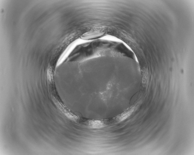 X0000087630287200705181508