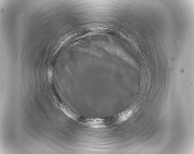 X0000087630288200705181508