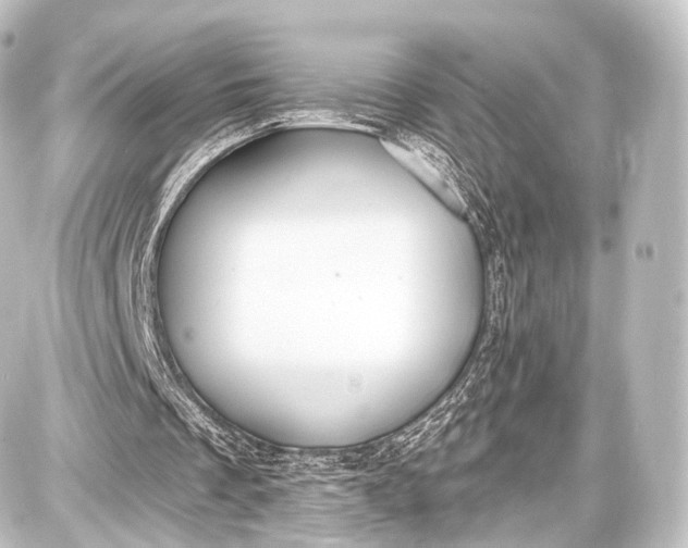 X0000087630289200705181507