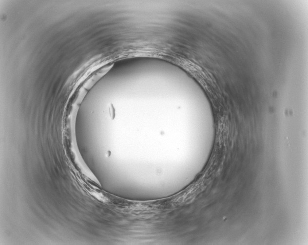 X0000087630290200705181507