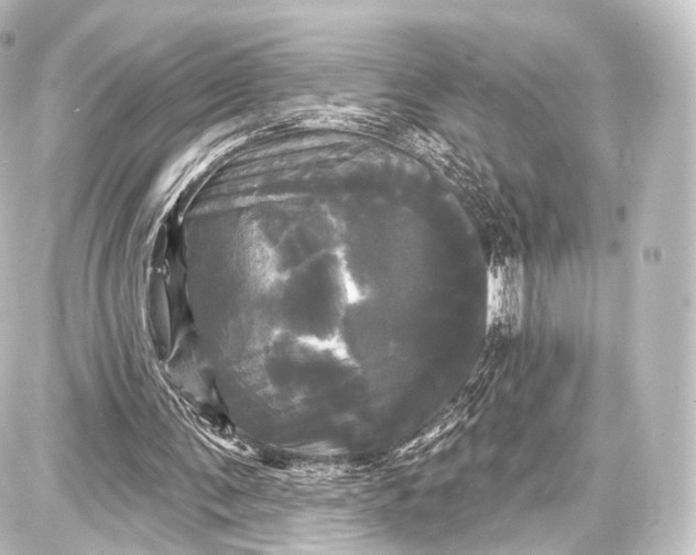 X0000087630291200705181507