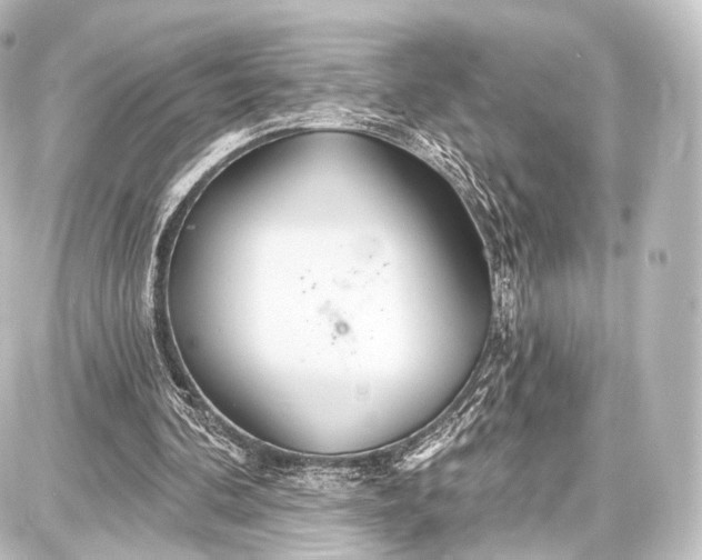 X0000087630292200705181507