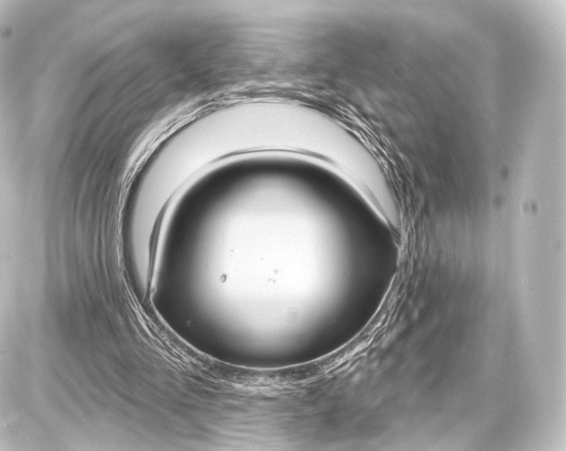 X0000087630293200705181507