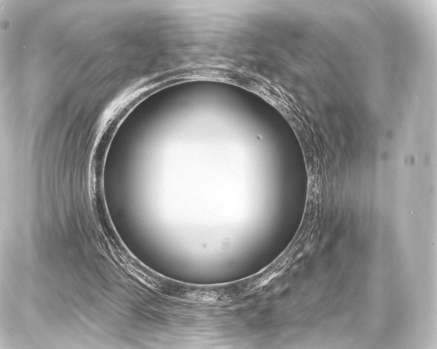 X0000087630294200705181507