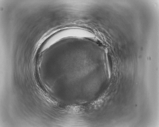 X0000087630295200705181507