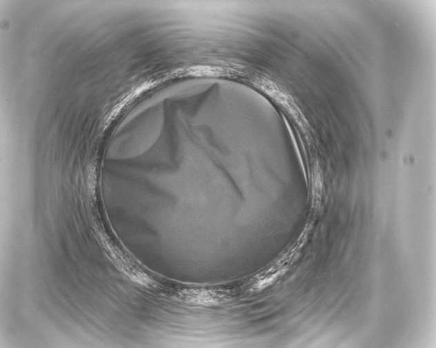 X0000087630297200705181507