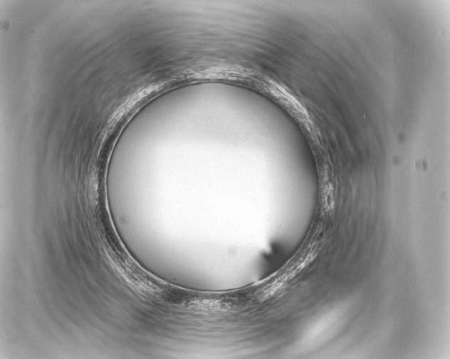 X0000087630298200705181507