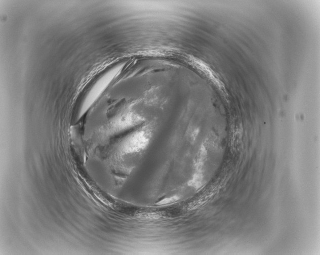 X0000087630299200705181507